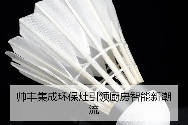 帅丰集成环保灶引领厨房智能新潮流